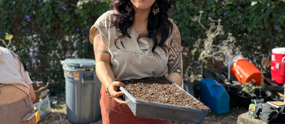 Help Us Build Our Community Nursery * Ayudanos a Construir Nuestro Vivero comunitario