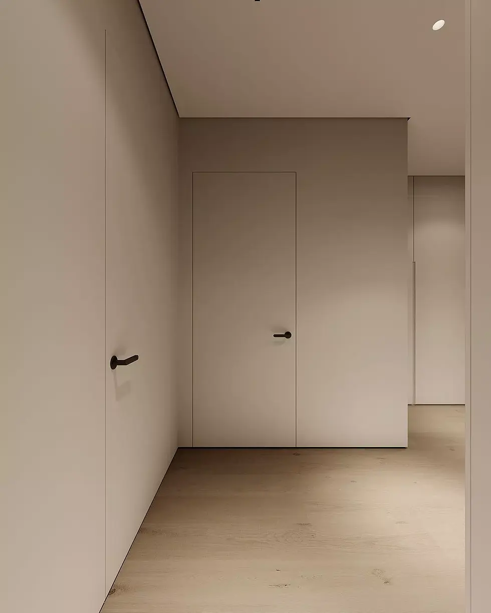Thumbnail: Invisible Flush Door 