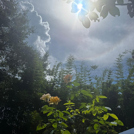 portal with light shining in.jpeg