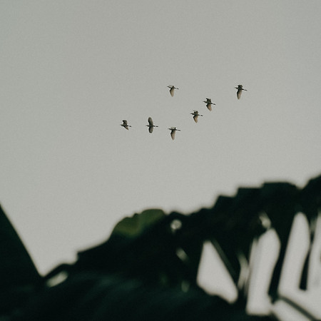 pexels-nguyendesigner-10997831.jpg