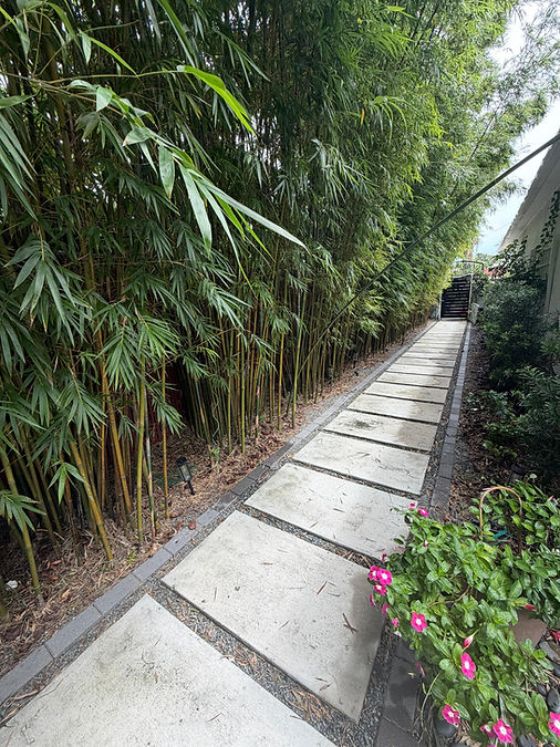 pathway.jpeg