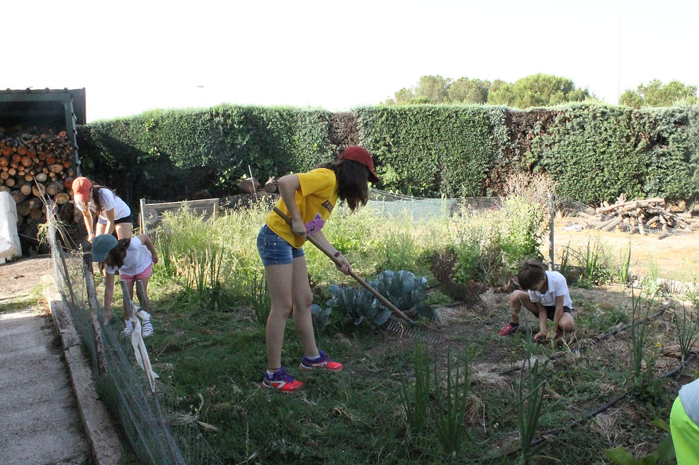 Acabando con las malas hierbas