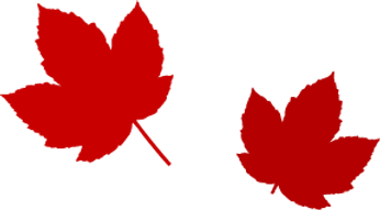 Simple Maple Leaves _edited.png