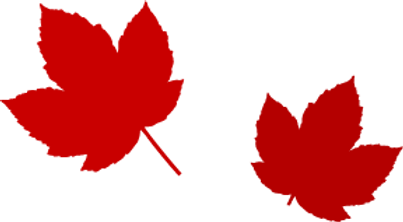 Simple Maple Leaves _edited.png