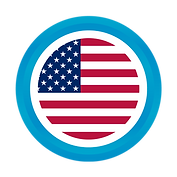 US Flag icon.png