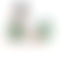 Psikolojinin Alt Dalları