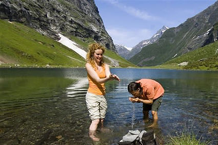 All About the Fjords Cruise Service