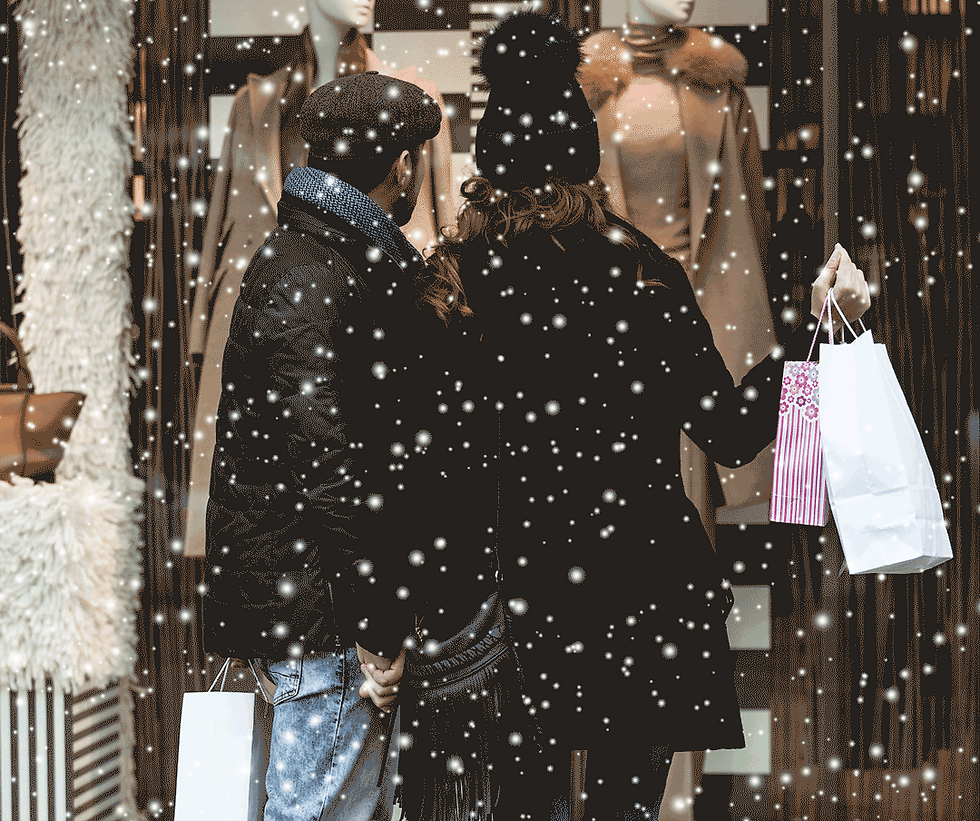 ACE POS Retail holiday image