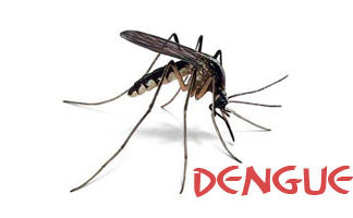 Campinas alerta para circulação do dengue tipo 2. Sorotipo que não circula há cinco anos na cidade.