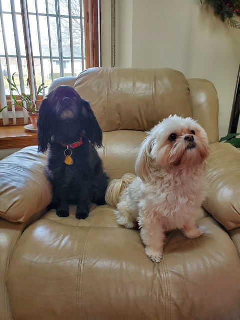 BB8 and Daisy.jpg