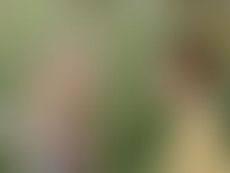 BTV Episode Four - The Art of Connection