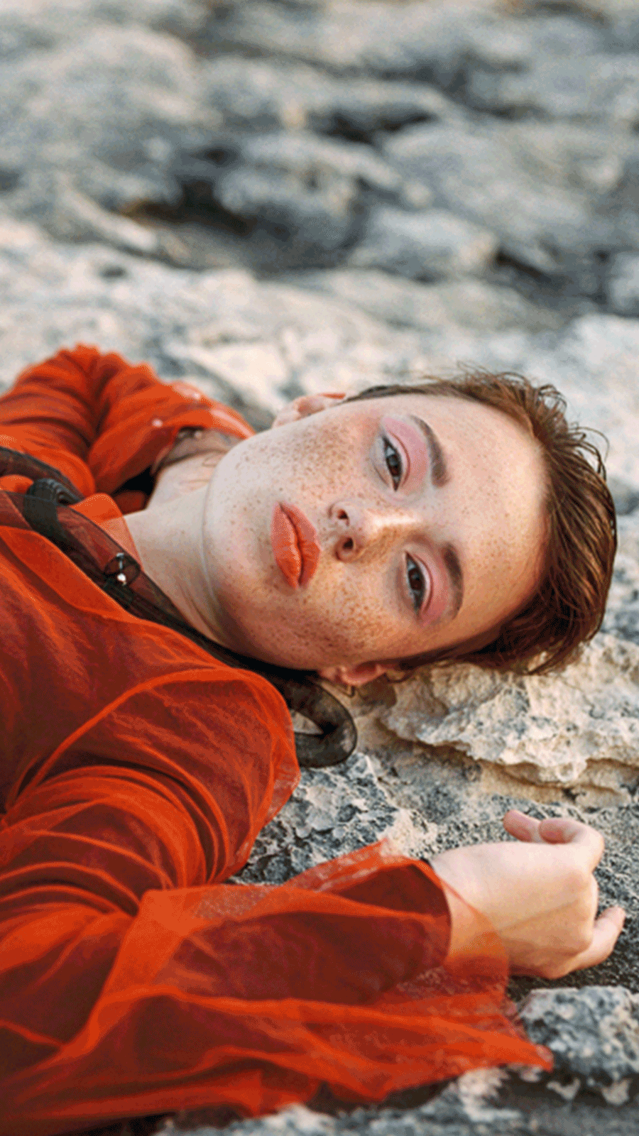 loumaxhome_mobile.gif