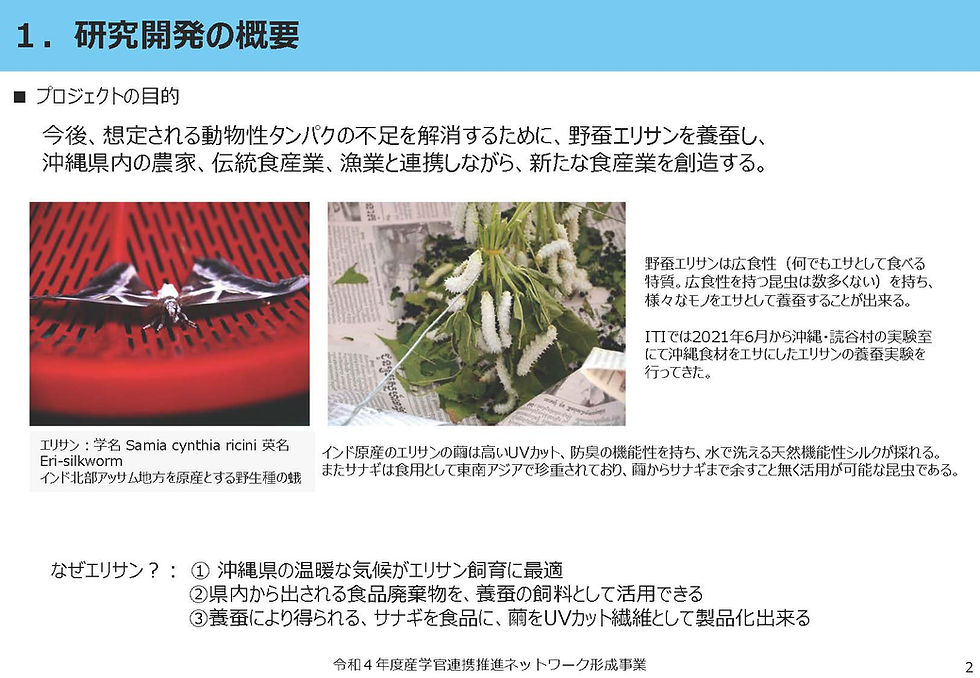 一社インセクトテクノロジーインスティテュートR4_NW事業成果報告書研究開発_ページ_02
