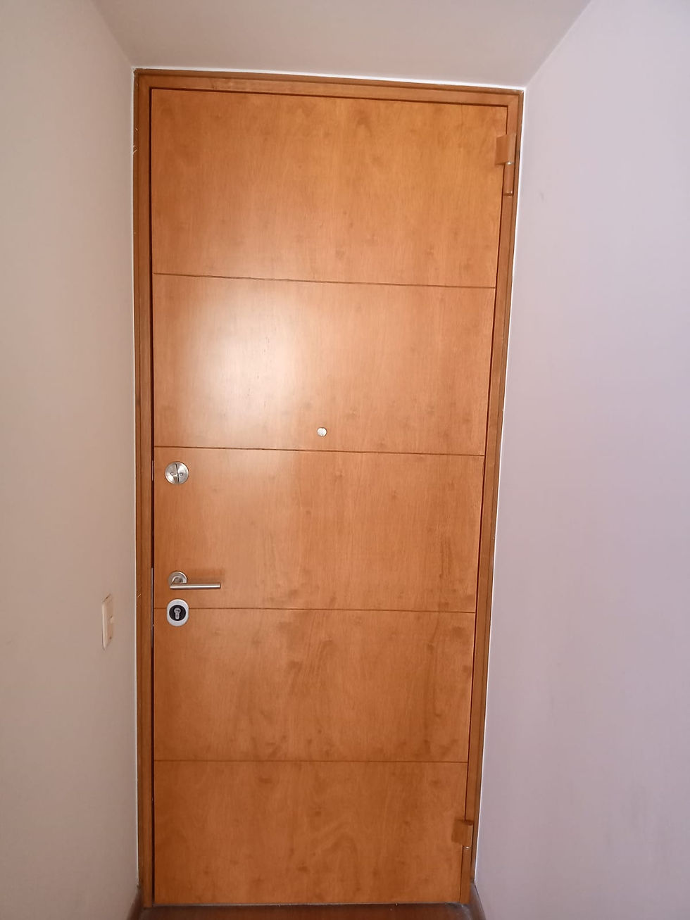 Miniatura: Puerta de seguridad Securemme llave multipunto