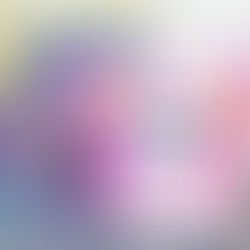 Andie's New Friend, Rizmo!