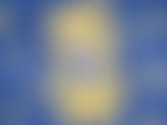 Cleo&Hooman Zoomie Wipes