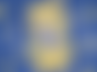 Cleo&Hooman Zoomie Wipes