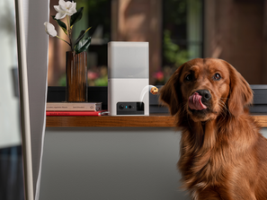 Check out Petcube Bites 2 Lite – smart HD pet camera with treat dispenser