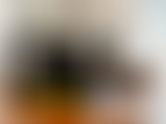 City Loo Starter Kit – Modern Indoor & Outdoor Dog Potty Solution