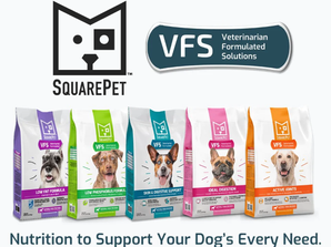 SquarePet VFS Lineup – Veterinarian-Formulated Natural Dog Foods
