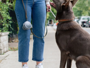 Slypod – Portable & Expandable Dog Poop Caddy Leash-Accessory