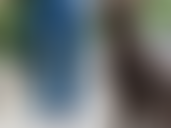 Slypod – Portable & Expandable Dog Poop Caddy Leash-Accessory