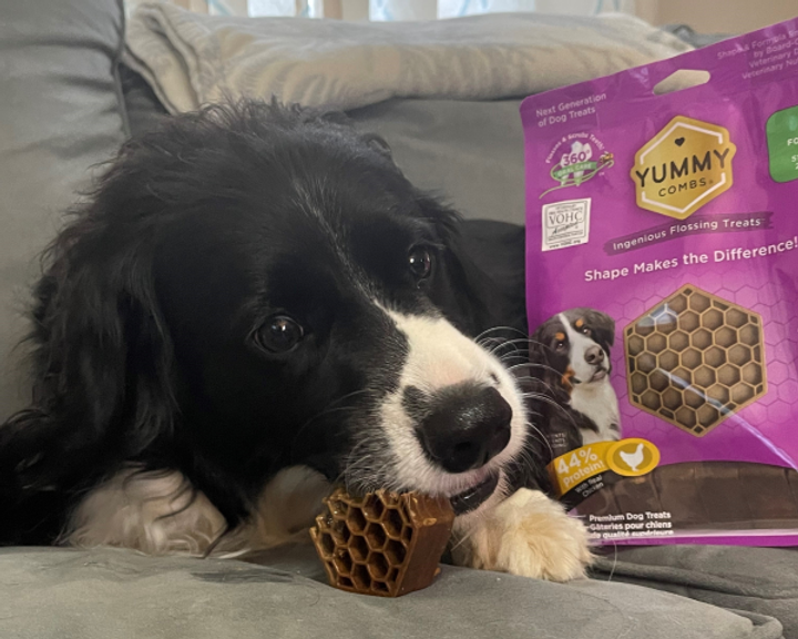 Pets Best Life Yummy Combs NextGeneration Dental Care Dog Treats