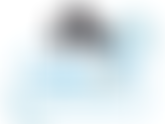 PawprintID – Personal Portable Health Record Service for Pets