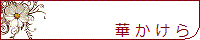桔梗楓さま