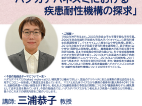 第11回JAPA勉強会を開催いたしました。