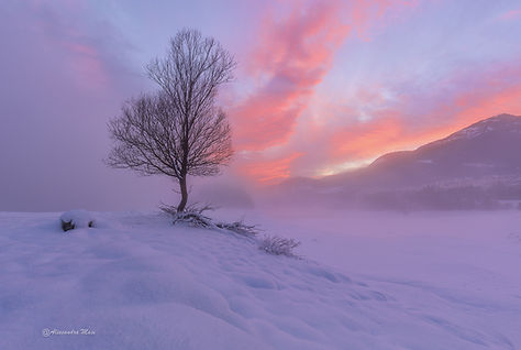 Cadore, atmosfera invernale .jpg