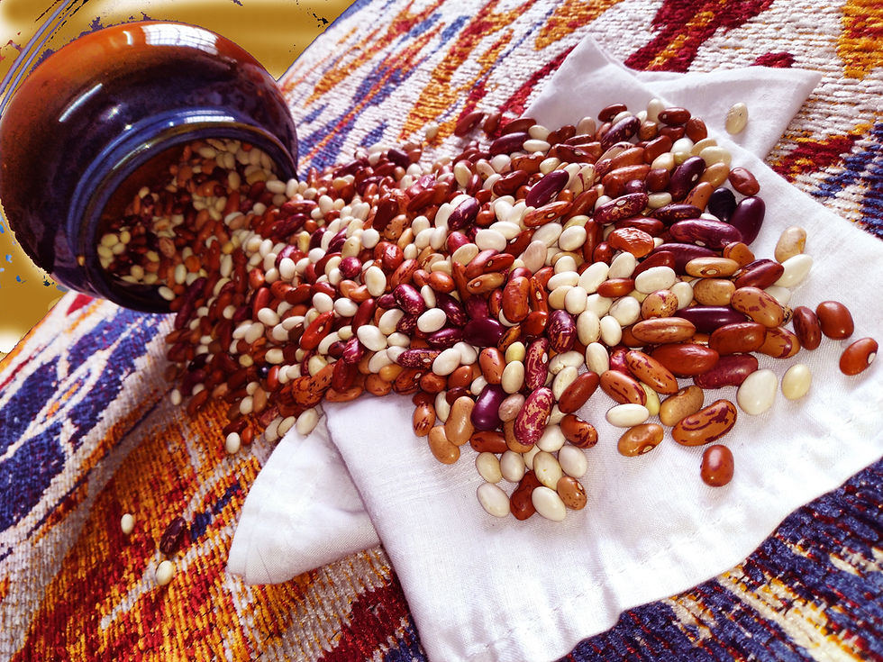 Thumbnail: Gems of Himalayas (Mix Kidney beans) Organic