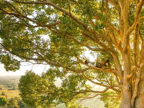 Mental Health Benefits of Living Off the Grid