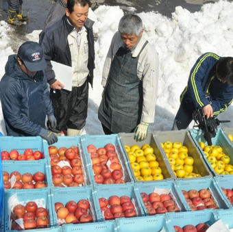 Зимние овощи и фрукты для общепита: как сохранить качество и оптимизировать закупки