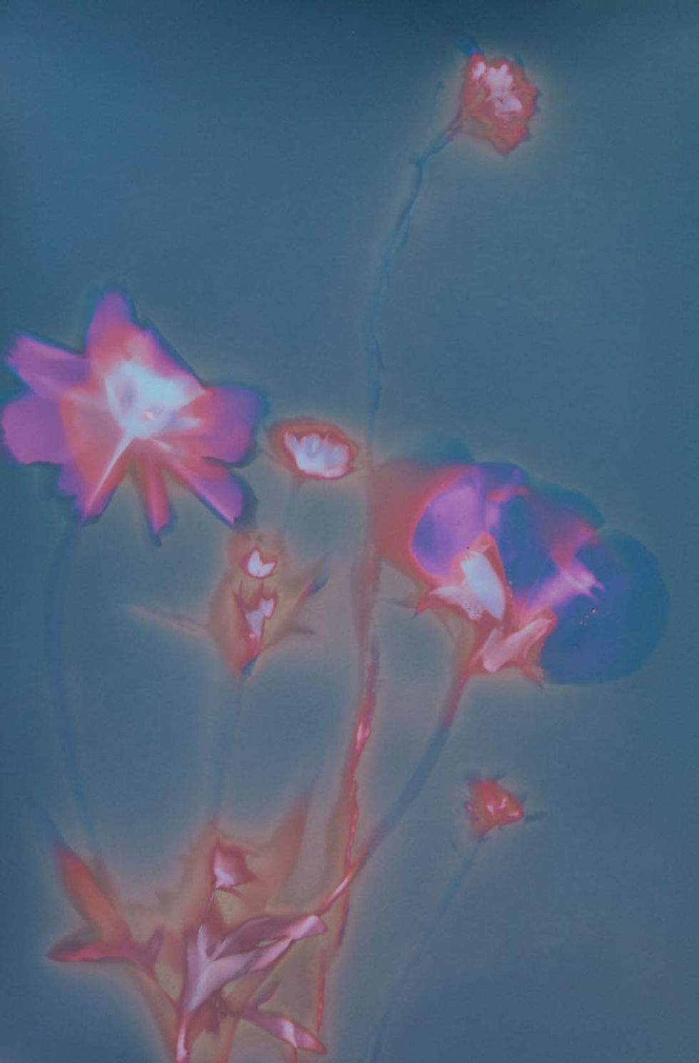 449154495_1515516975708962_3778137359549071820_n