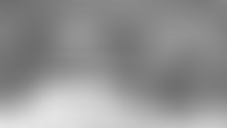 Hinter Schranken und Stacheldraht