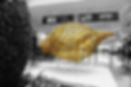 Conch Shell