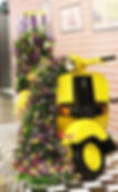 Spring Vroom Installation