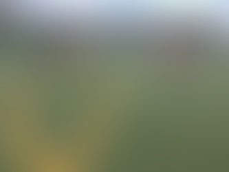 エフォートサッカースクール夏休み短期教室のご案内！
