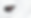 Copy of Welcome (Website) (12).png