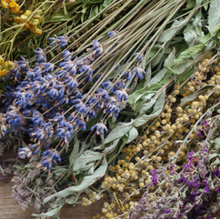 herb bundles