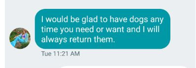 always return dogs.JPG