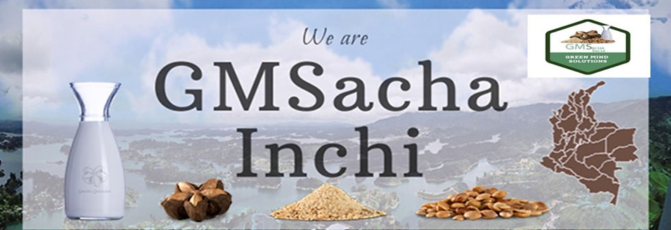 GMS Banner 2025_edited.jpg