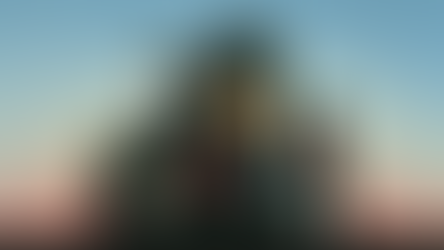 კრიზისის შემდეგ…