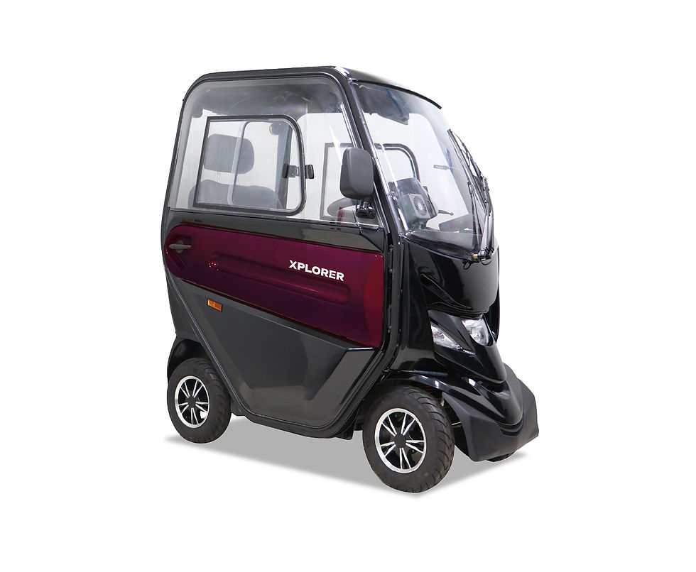 Motion Healthcare Xplorer - Plum