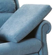 Rise & Recline Removable Seat