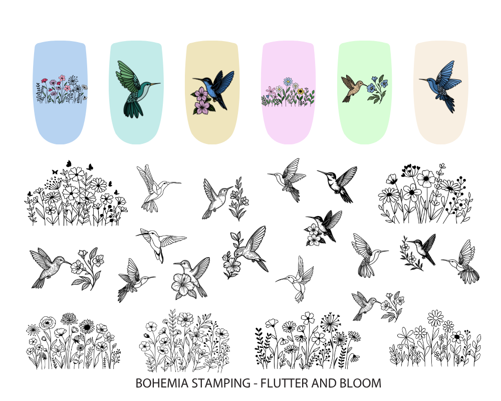 Flutter And Bloom