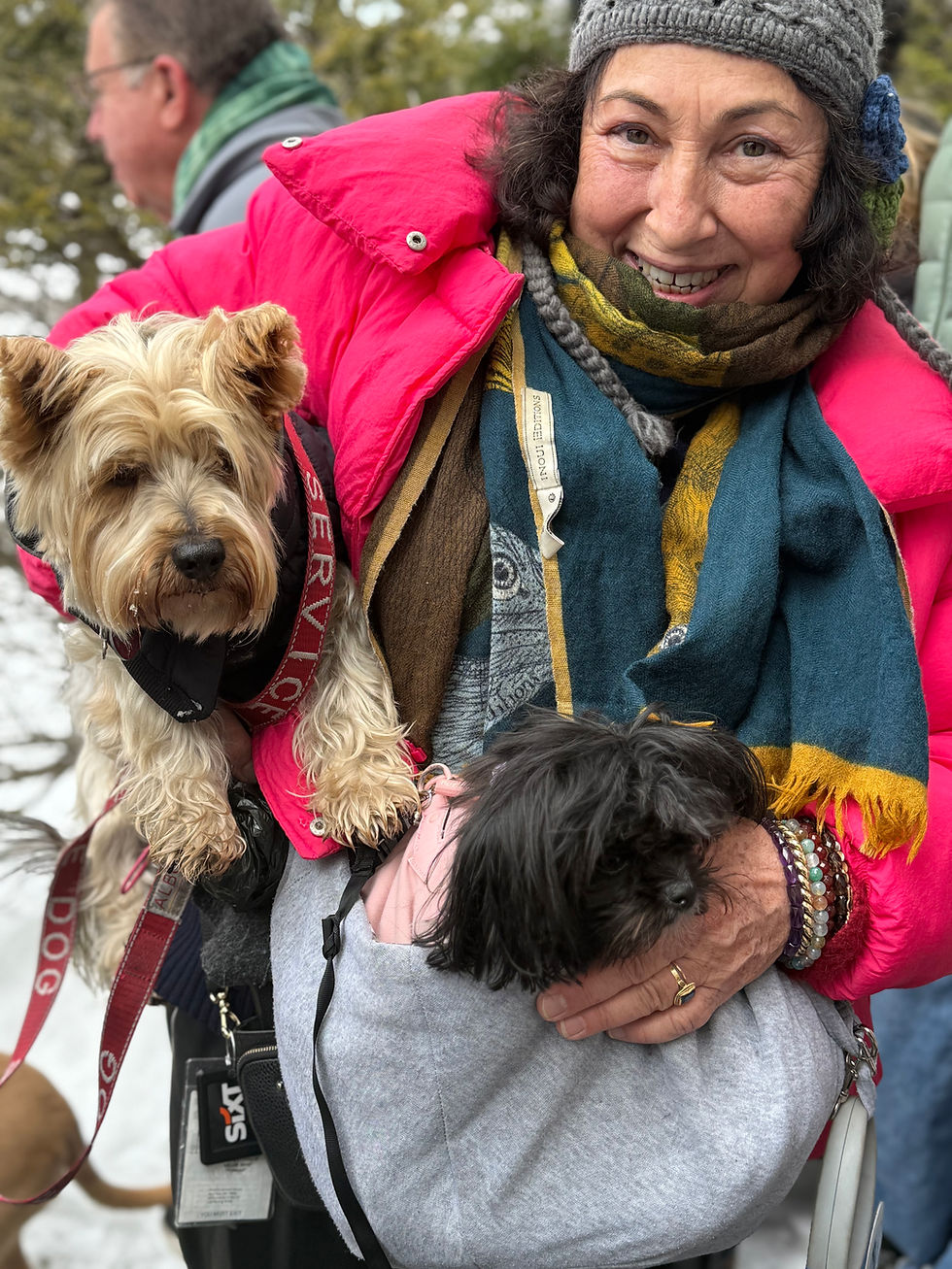 Isabelle, with Patapouf (left) and Pilli (right), on the excursion into historic Manchester, Vermont.