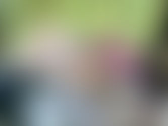 It Was Never Just the Dogs