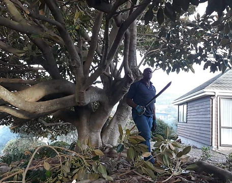 received_601272510584785.jpeg